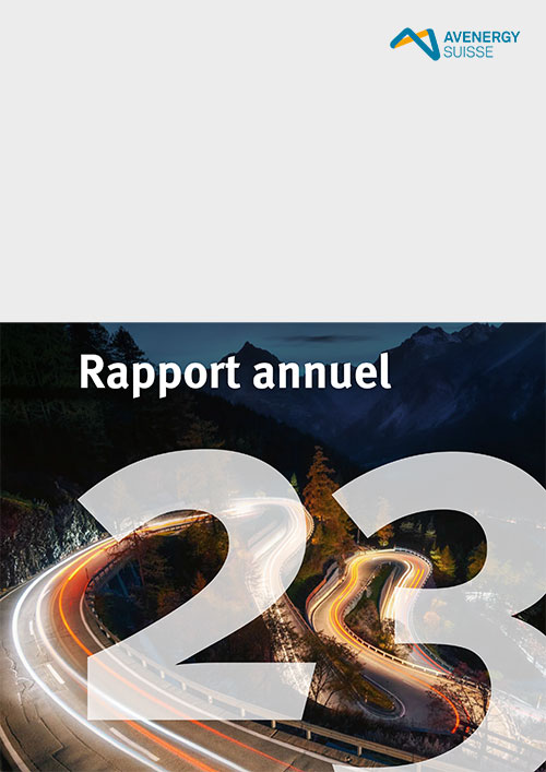 Jahresbericht 2023 fr